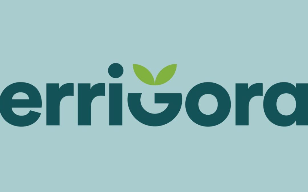 Udaberriko Errigora kanpaina hasi da jada